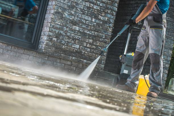 Best Roof Washing  in Odem, TX