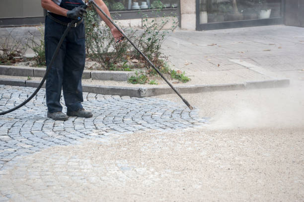 Trusted Odem, TX Pressure Washing Services Experts