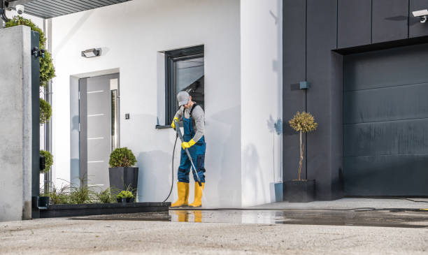 Best Fence Cleaning  in Odem, TX